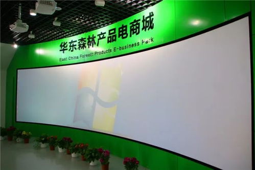 喜讯 | 华东森林产品电商城入选首批江苏省乡镇电子商务特色产业园街区