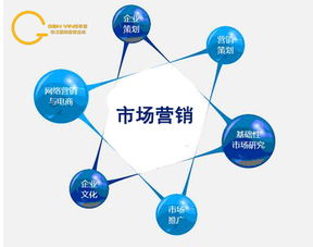 淘宝网电子商务市场营销策略分析