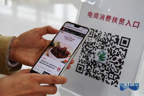 托里电商扶贫 农产品触网 逢春